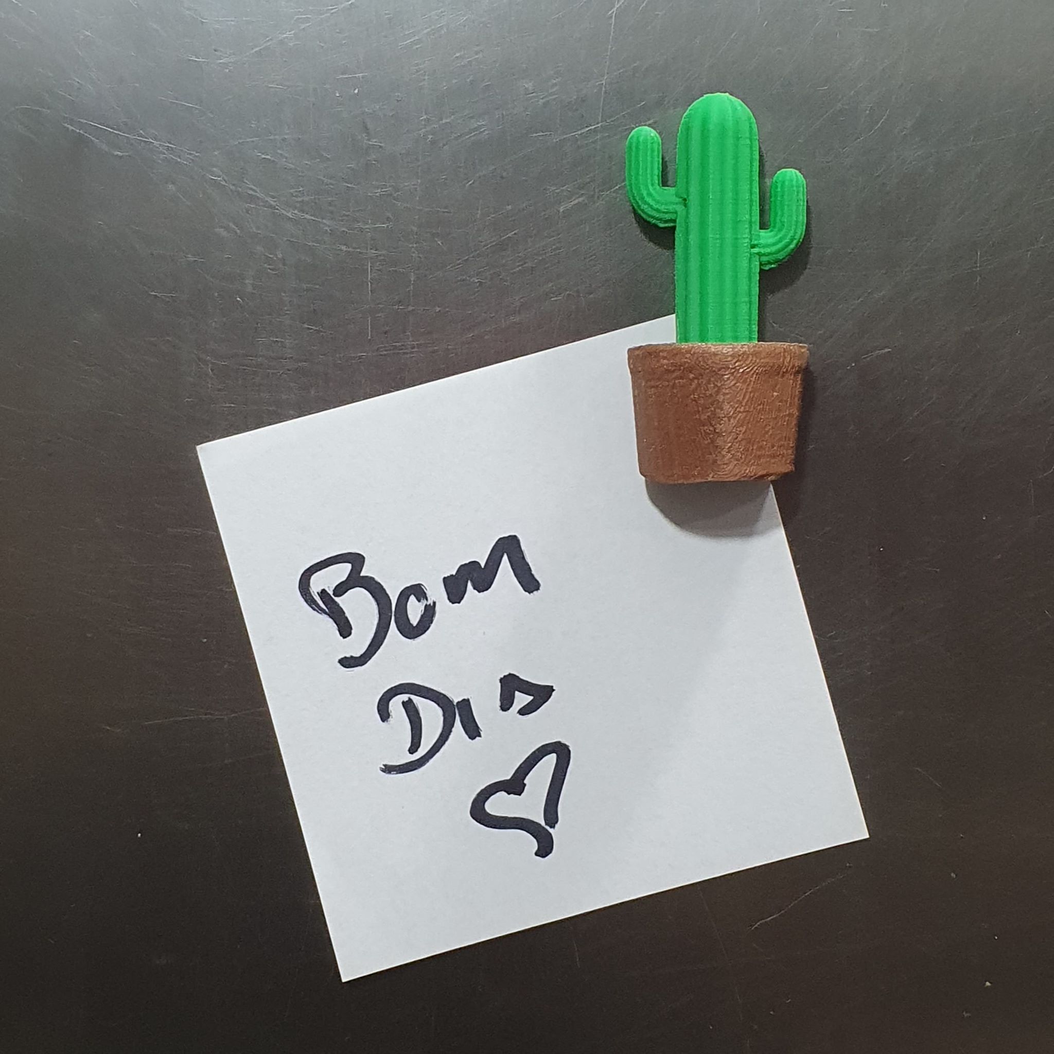 Cactos - Imagem 2