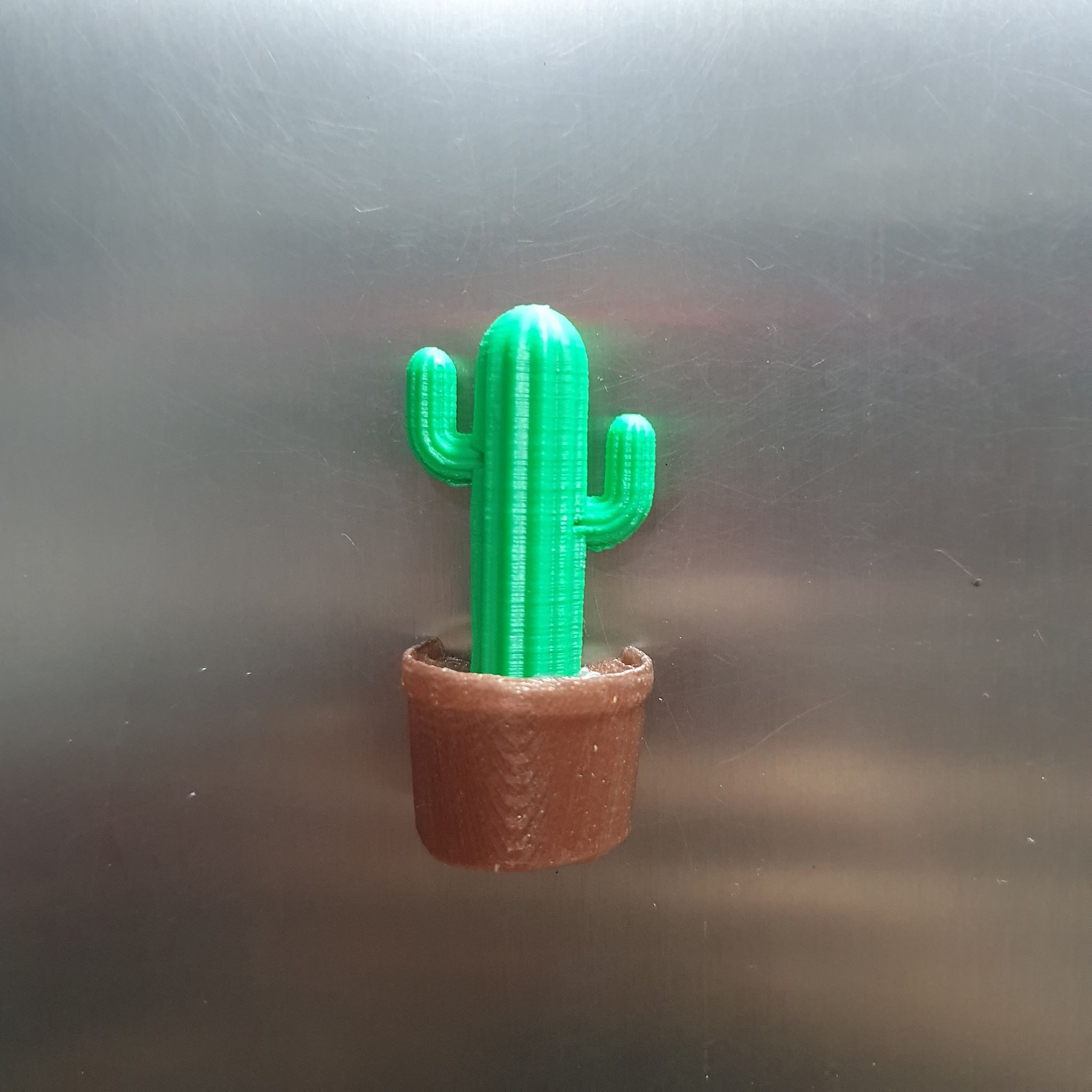 Cactos