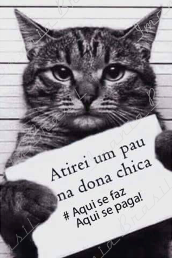 AQUI SE FAZ